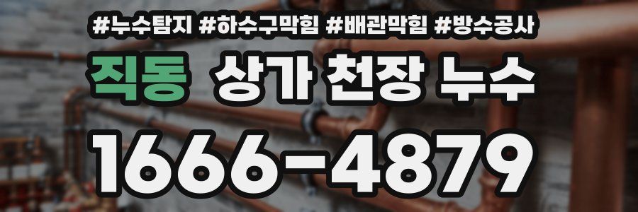 직동 상가 천장 누수
