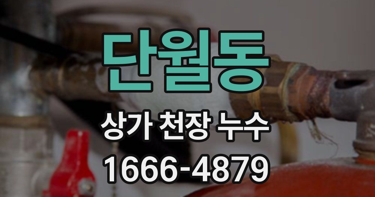 단월동 상가 천장 누수