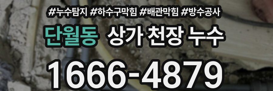 단월동 상가 천장 누수