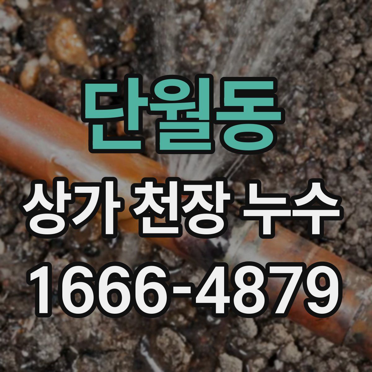 단월동 상가 천장 누수