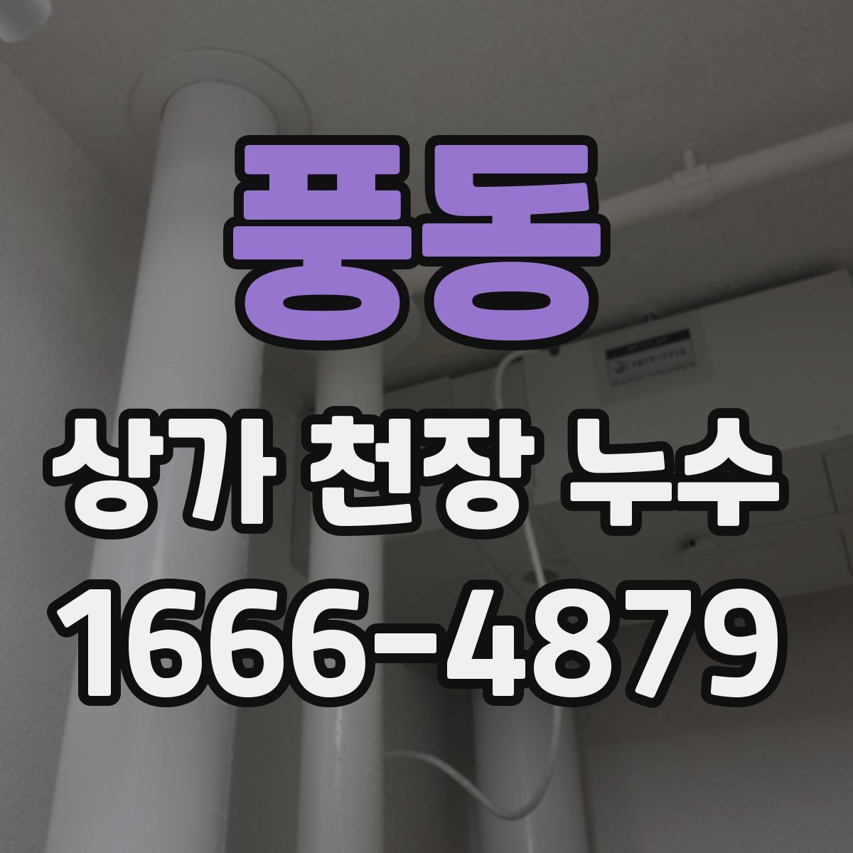 풍동 상가 천장 누수