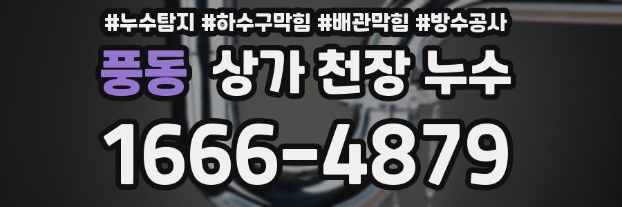 풍동 상가 천장 누수