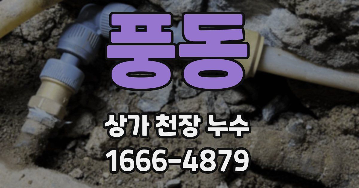 풍동 상가 천장 누수