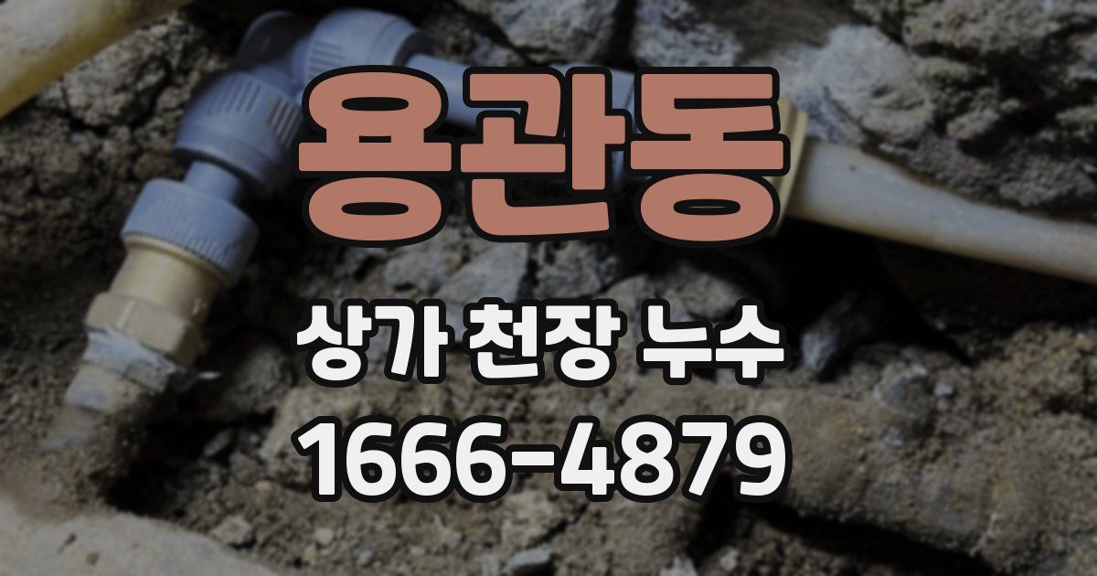 용관동 상가 천장 누수