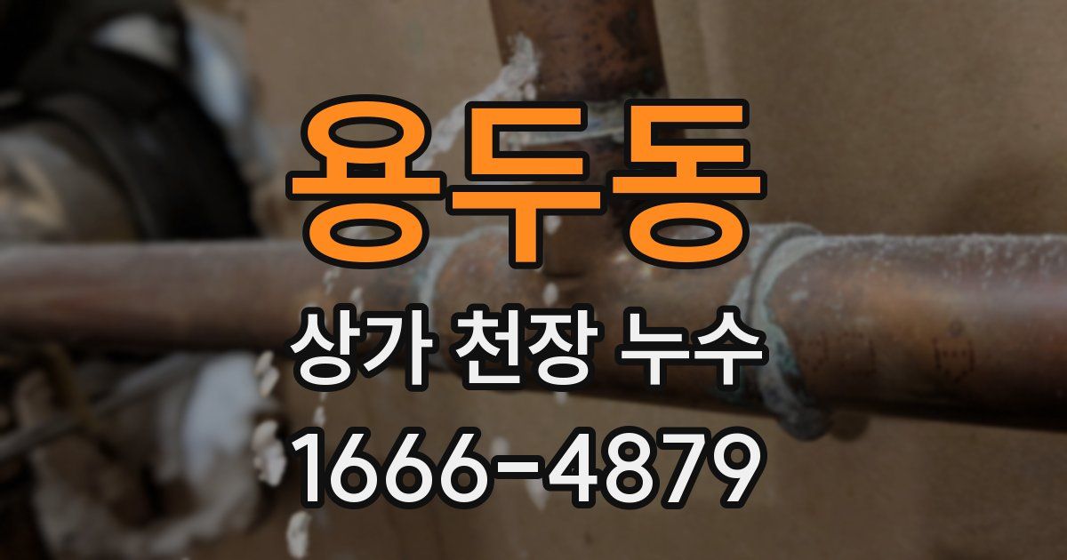 용두동 상가 천장 누수