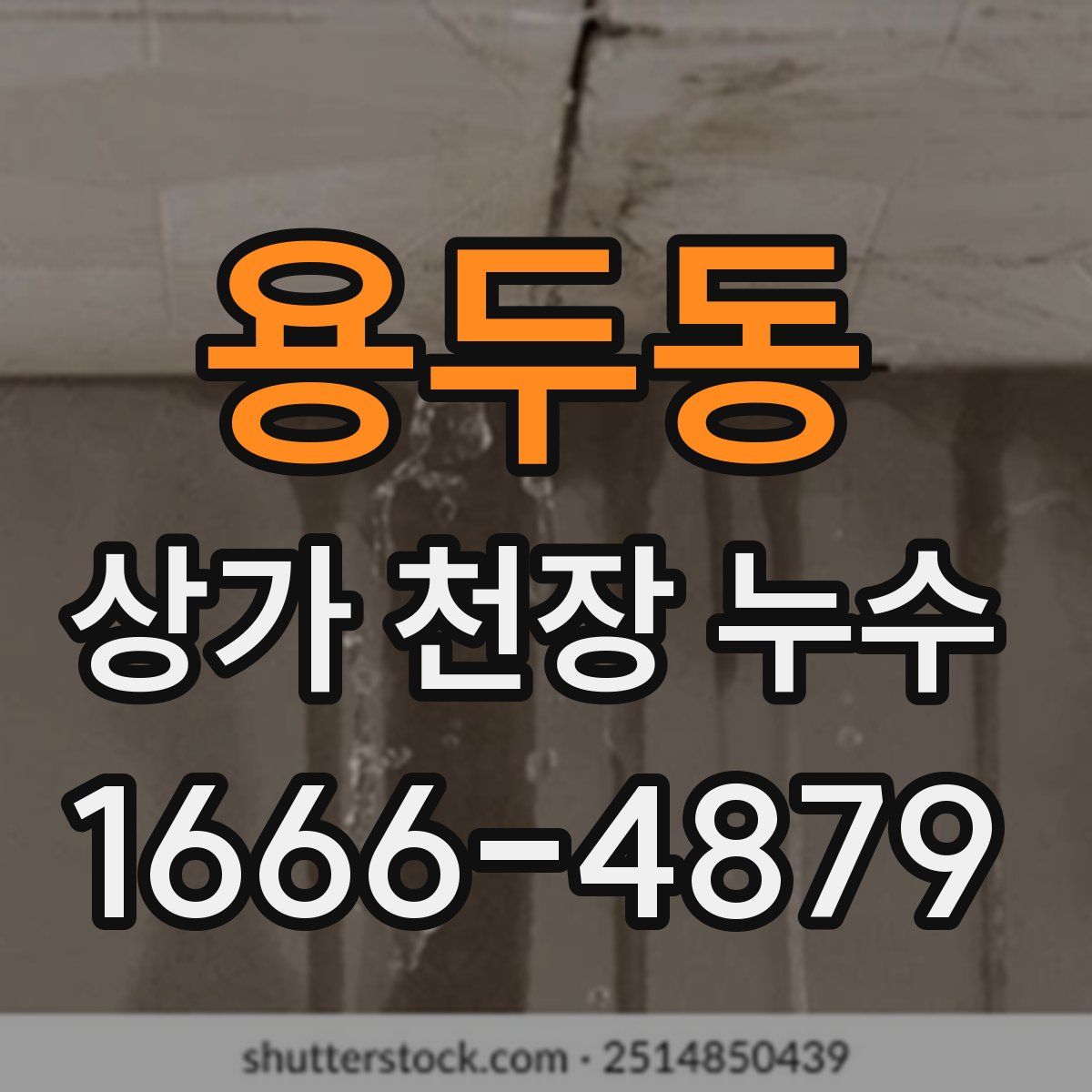 용두동 상가 천장 누수