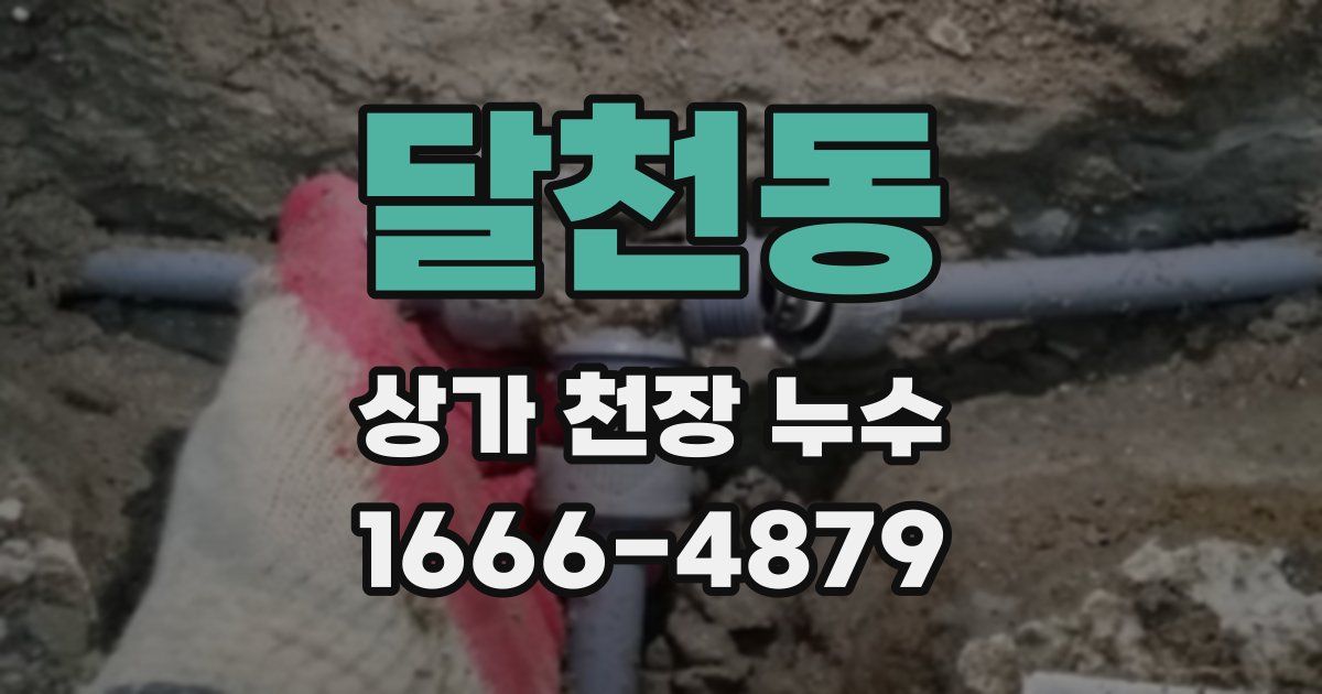 달천동 상가 천장 누수