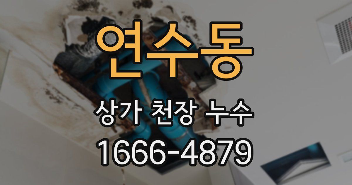 연수동 상가 천장 누수