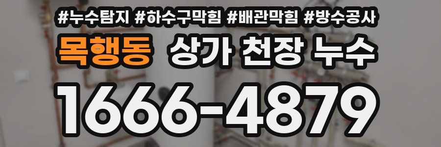 목행동 상가 천장 누수