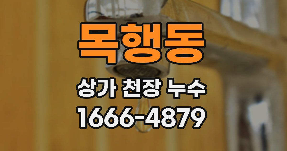 목행동 상가 천장 누수