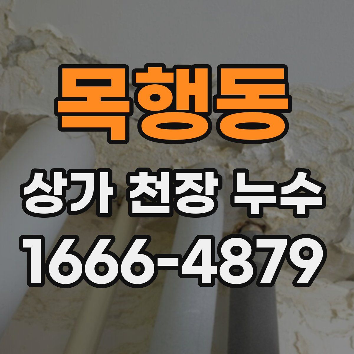 목행동 상가 천장 누수