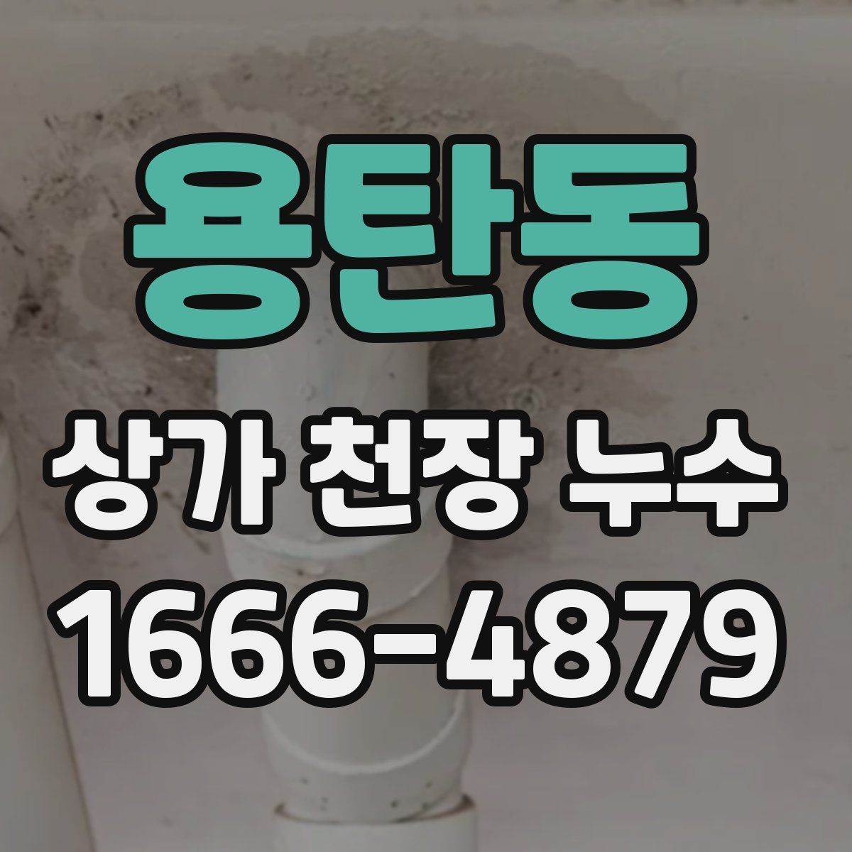 용탄동 상가 천장 누수