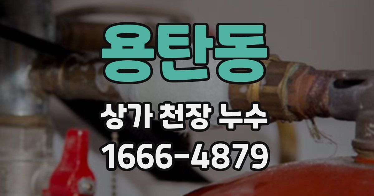 용탄동 상가 천장 누수