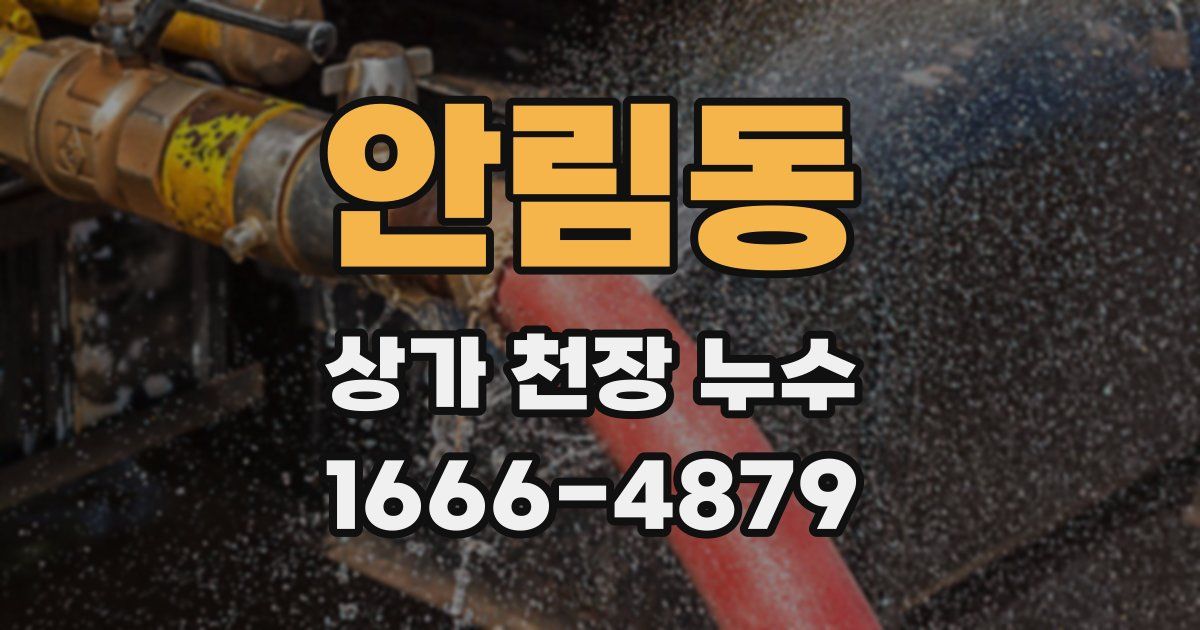 안림동 상가 천장 누수