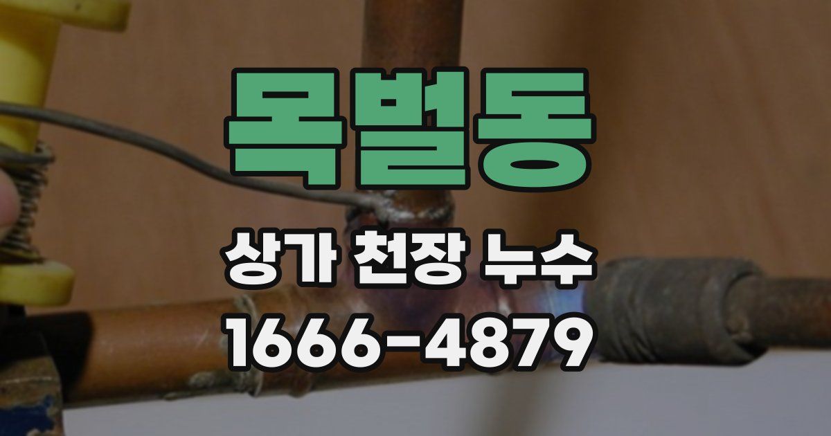 목벌동 상가 천장 누수