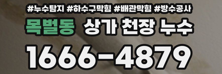 목벌동 상가 천장 누수