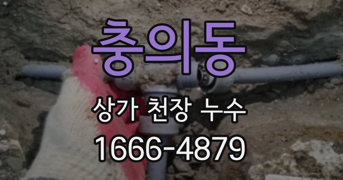 충의동 상가 천장 누수