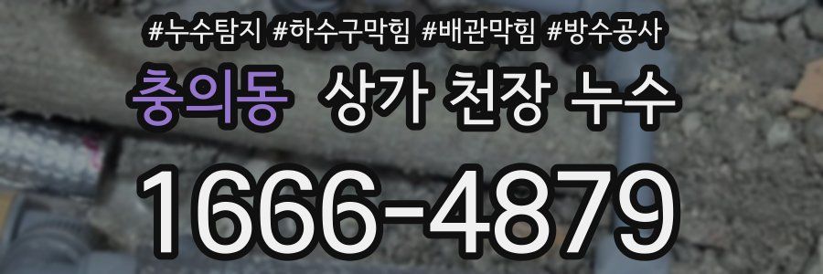 충의동 상가 천장 누수