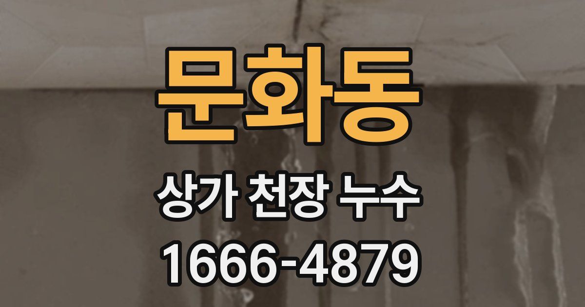 문화동 상가 천장 누수