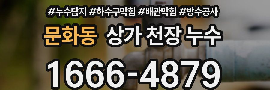 문화동 상가 천장 누수