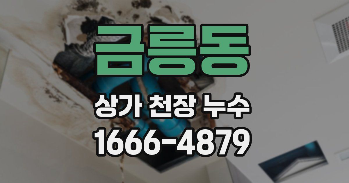 금릉동 상가 천장 누수