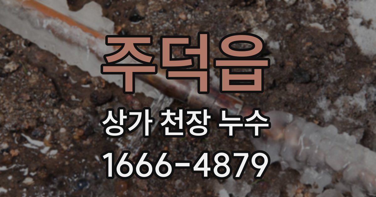주덕읍 상가 천장 누수