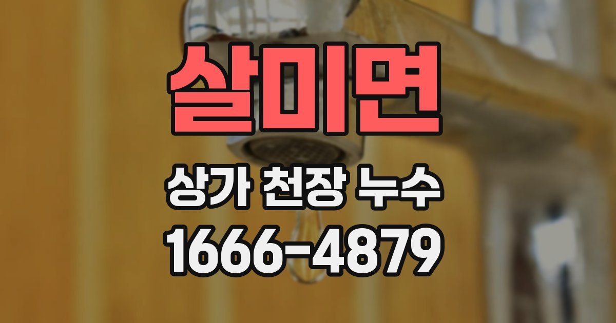 살미면 상가 천장 누수