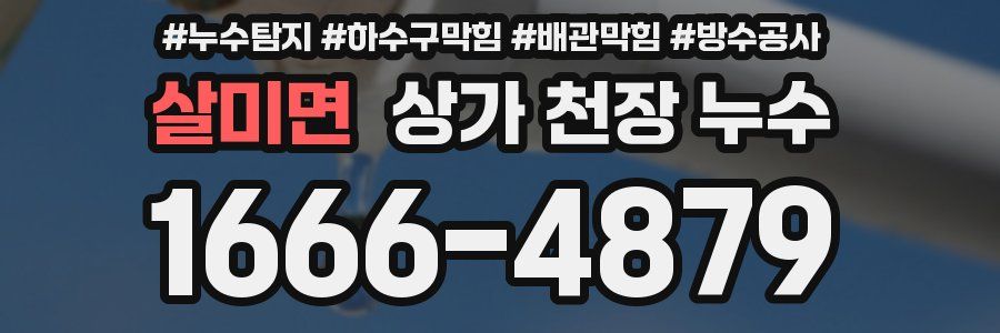 살미면 상가 천장 누수