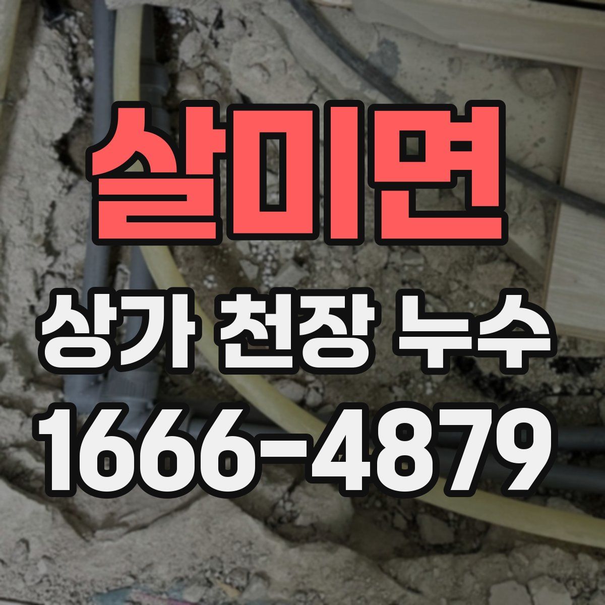 살미면 상가 천장 누수