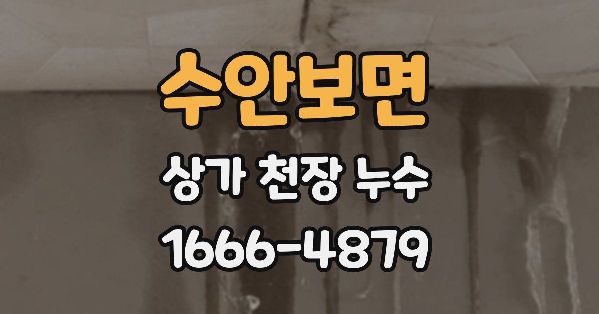 수안보면 상가 천장 누수