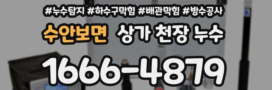 수안보면 상가 천장 누수