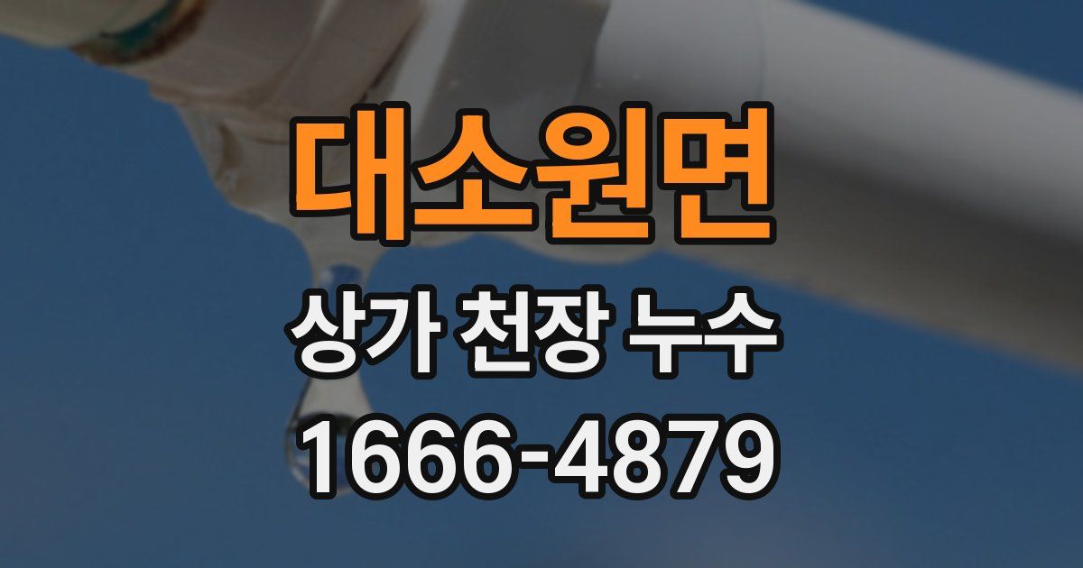 대소원면 상가 천장 누수