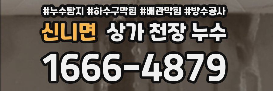 신니면 상가 천장 누수
