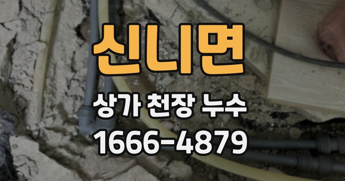 신니면 상가 천장 누수
