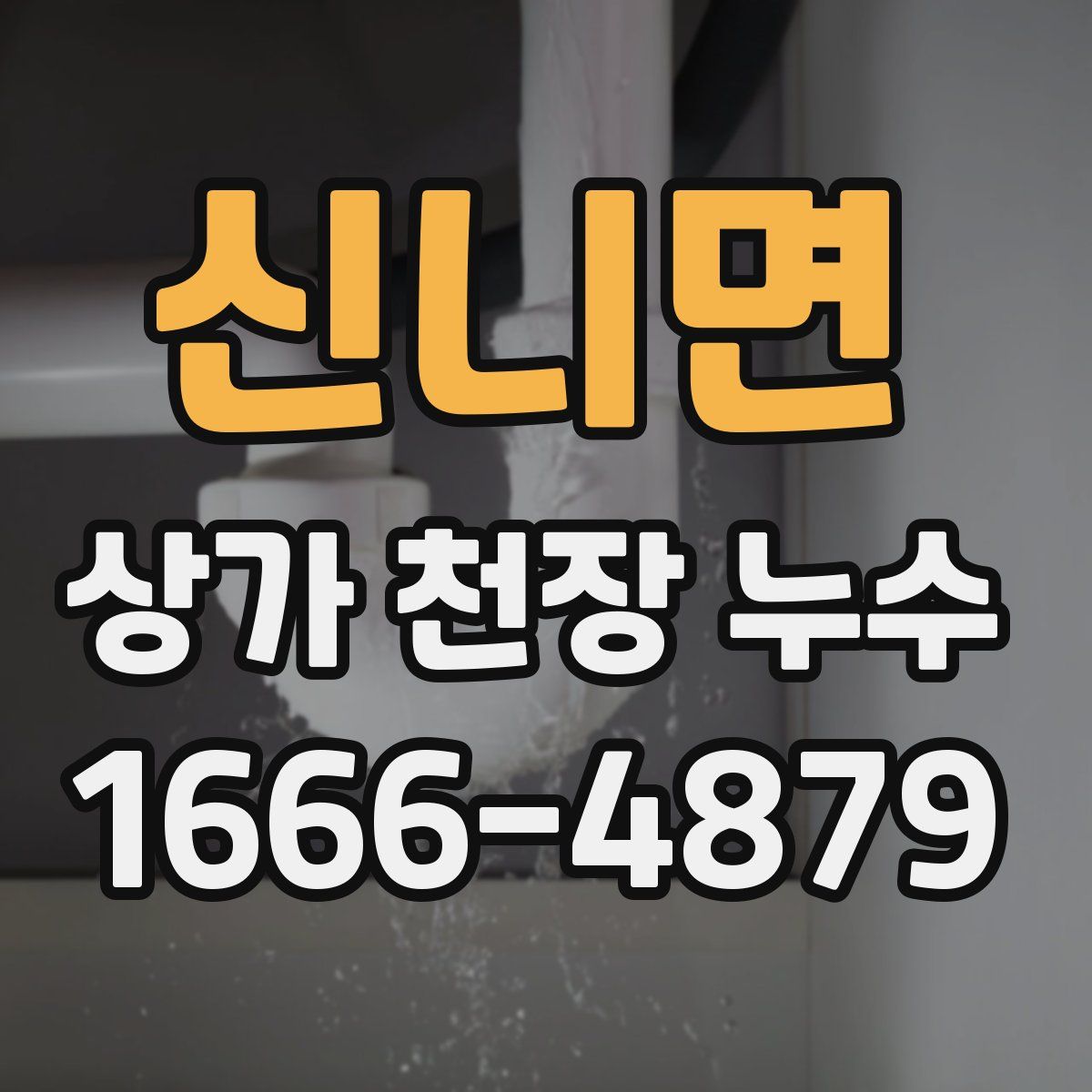 신니면 상가 천장 누수