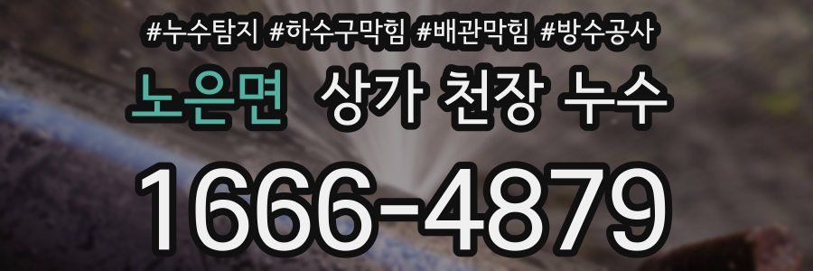 노은면 상가 천장 누수