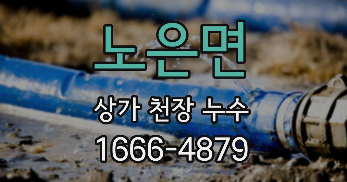 노은면 상가 천장 누수