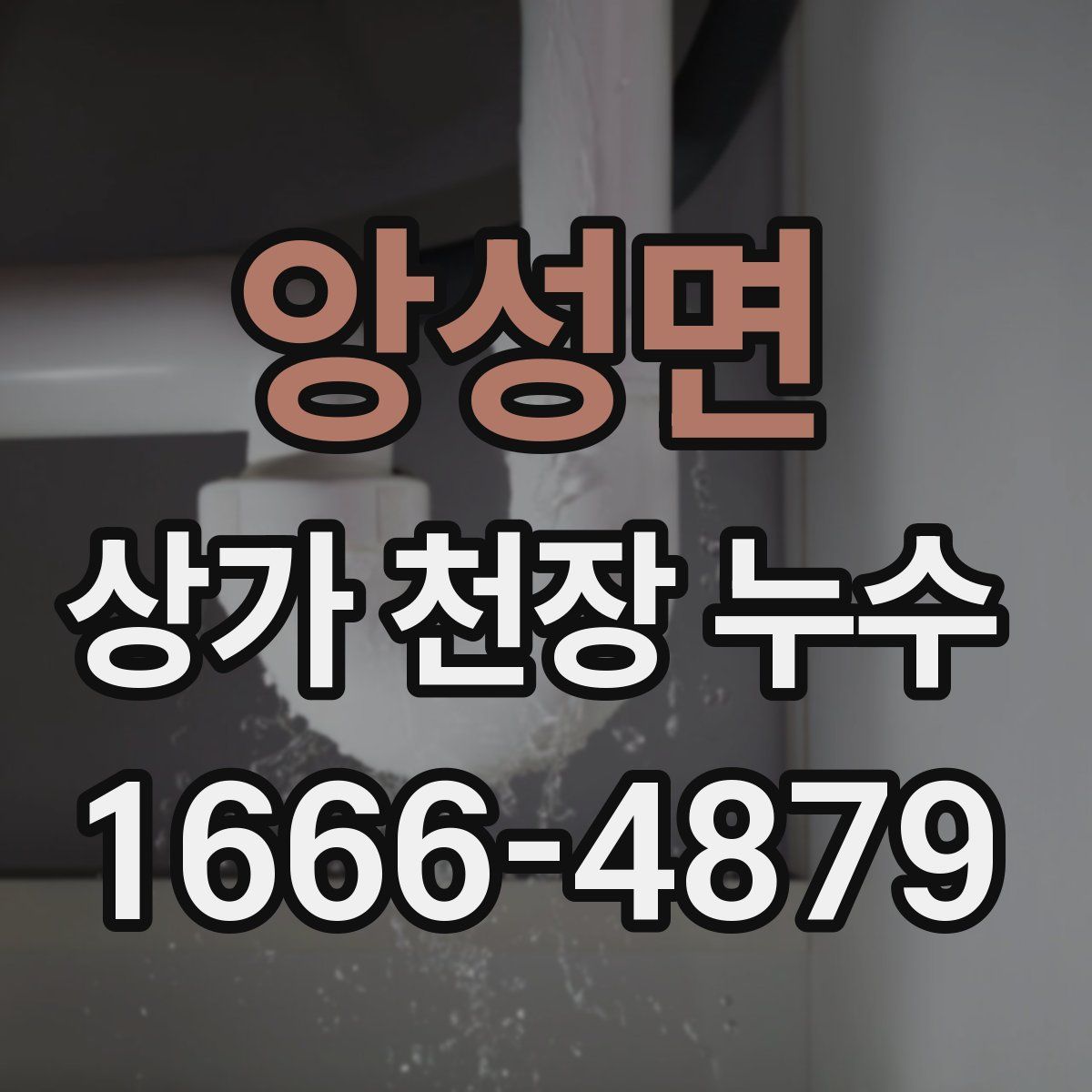 앙성면 상가 천장 누수
