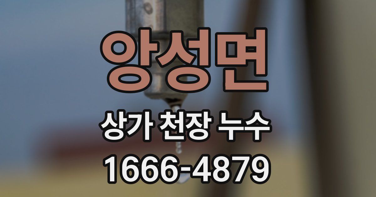 앙성면 상가 천장 누수