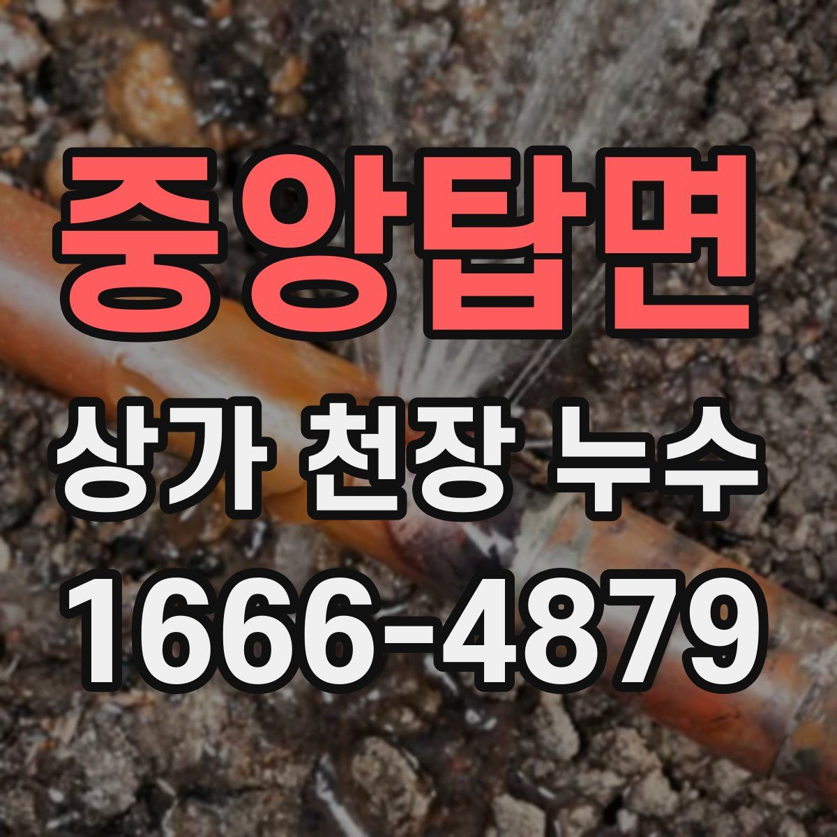 중앙탑면 상가 천장 누수