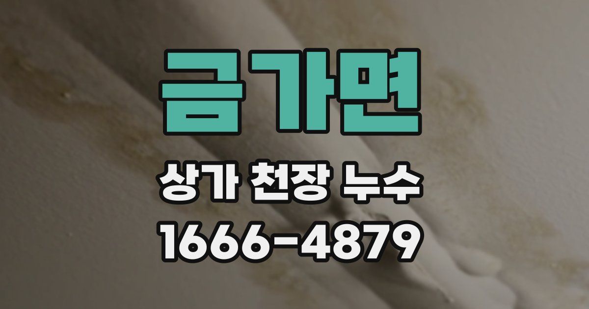금가면 상가 천장 누수