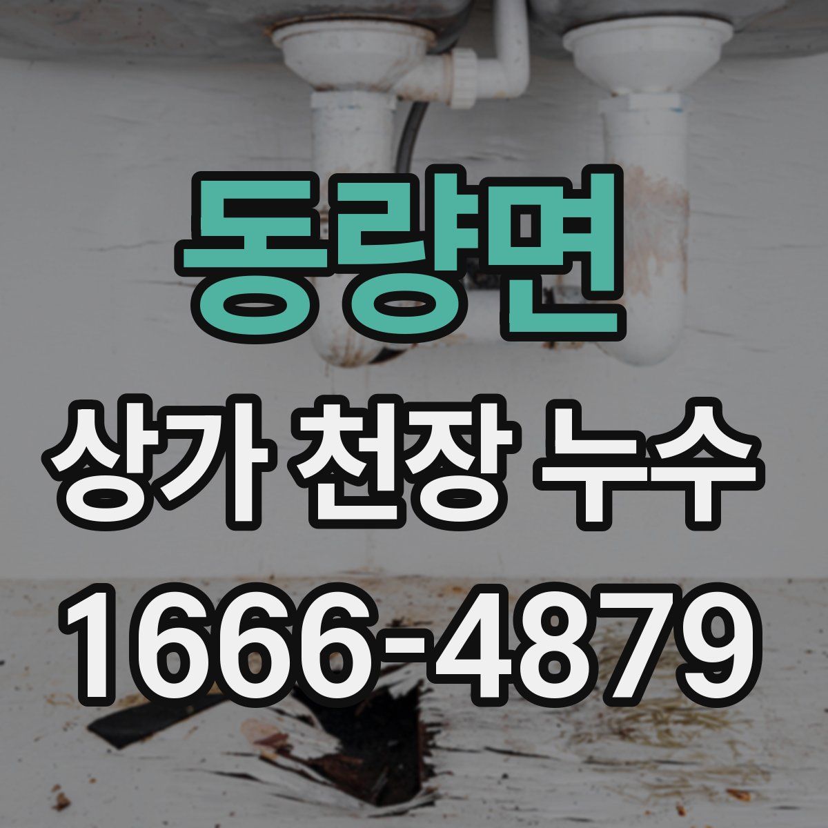 동량면 상가 천장 누수