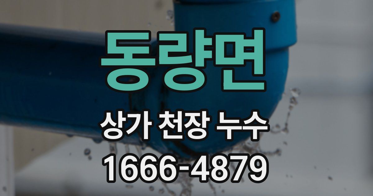 동량면 상가 천장 누수