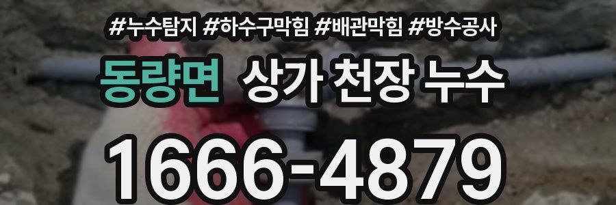 동량면 상가 천장 누수