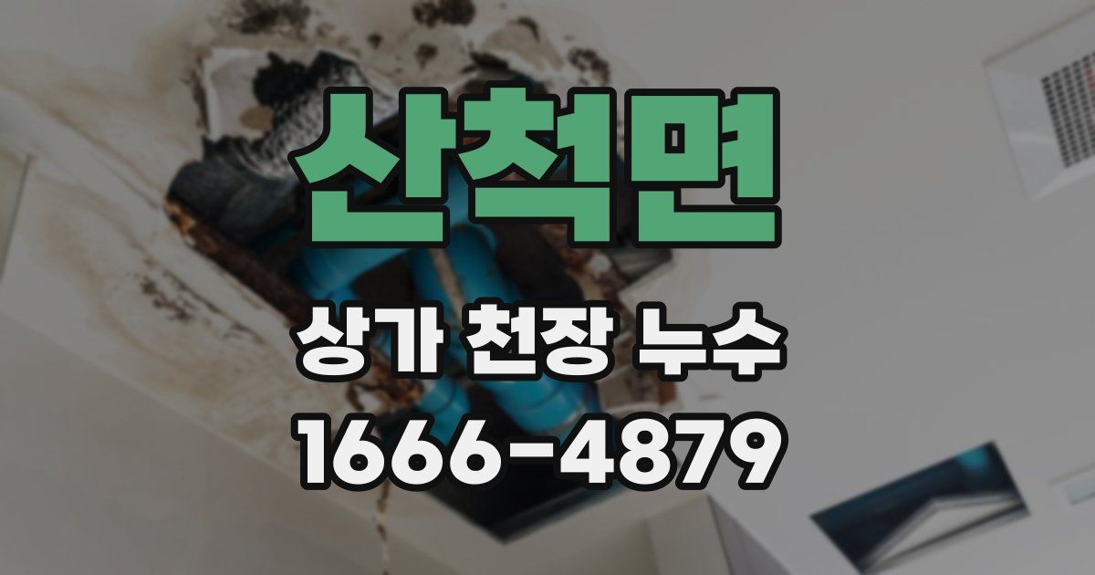 산척면 상가 천장 누수