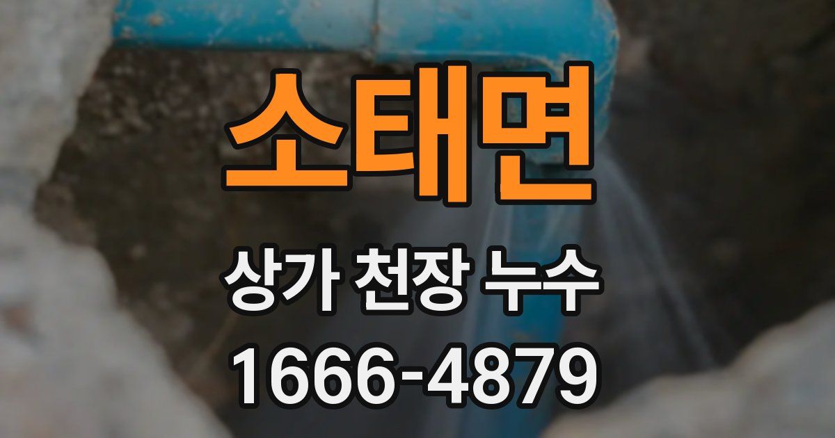 소태면 상가 천장 누수