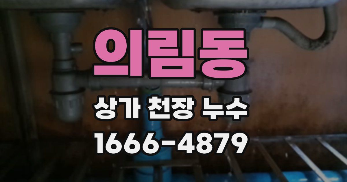 의림동 상가 천장 누수