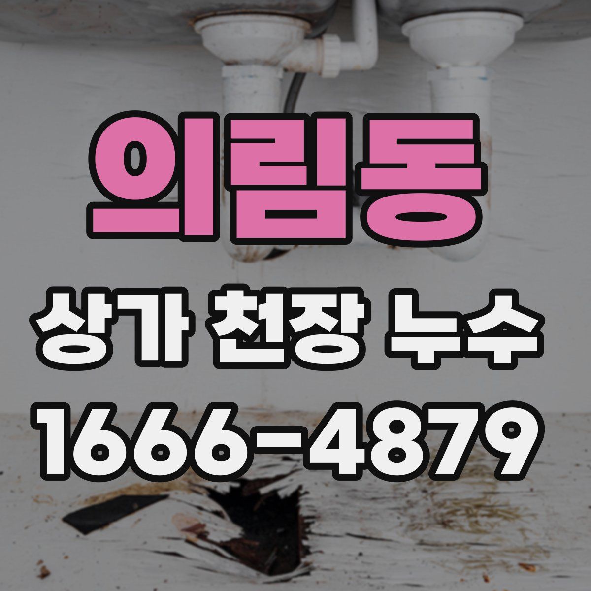 의림동 상가 천장 누수