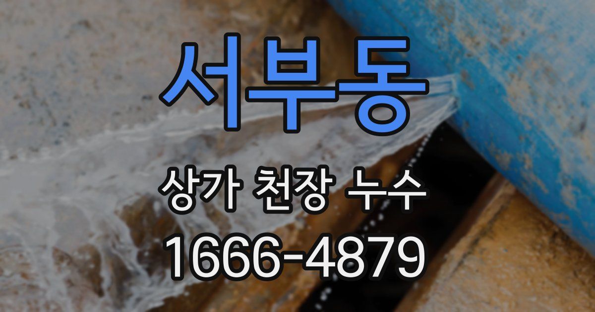 서부동 상가 천장 누수