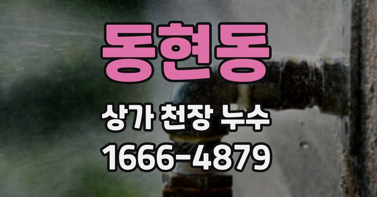 동현동 상가 천장 누수